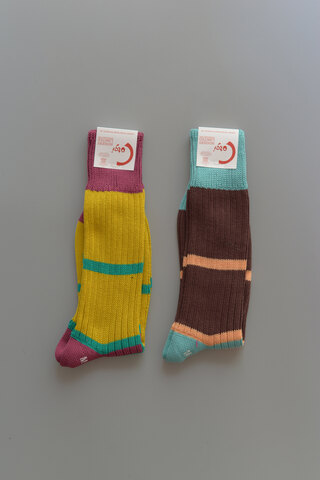 CLASS Corgi / BLOCK SOCKS (sold)
